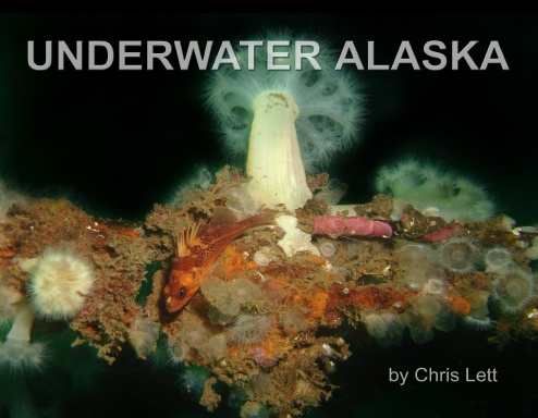 Underwater Alaska, A Photographic Essay