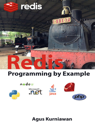 Redis Programming by Example