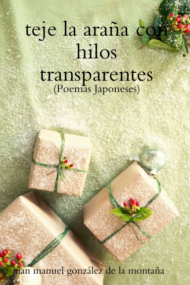teje la araña con hilos transparentes