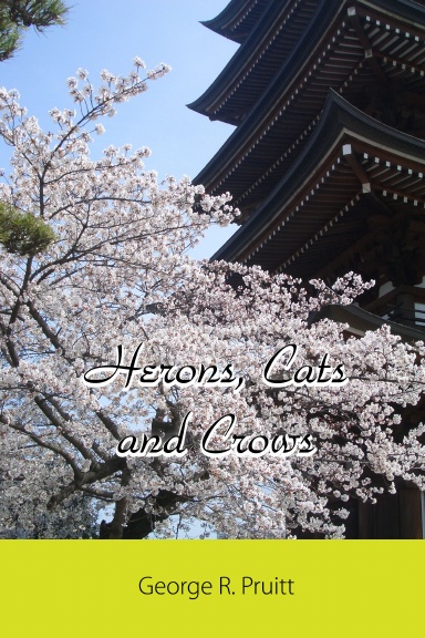 Herons, Cats and Crows