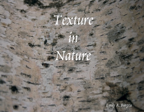 Texture in Nature