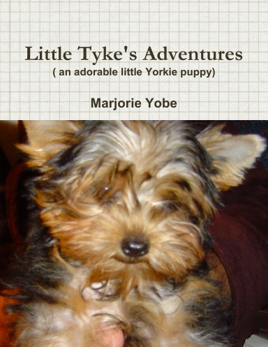 Little Tyke's Adventures