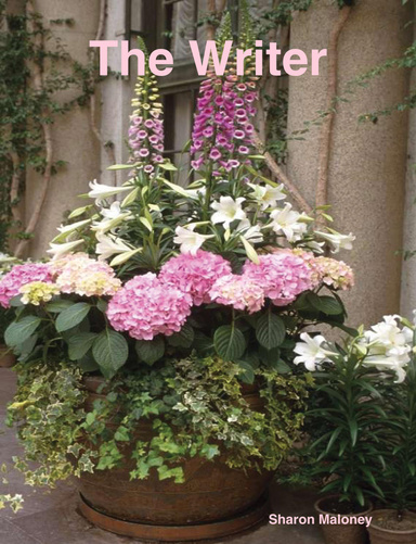 The Writer