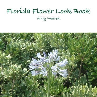 Florida Flower Look Book