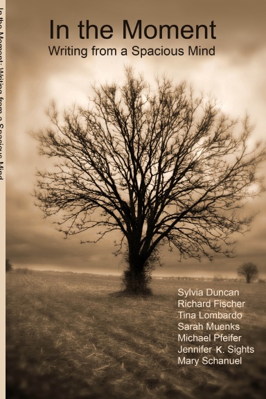 In the Moment - Writing from a Spacious Mind