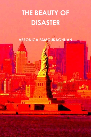 THE BEAUTY OF DISASTER