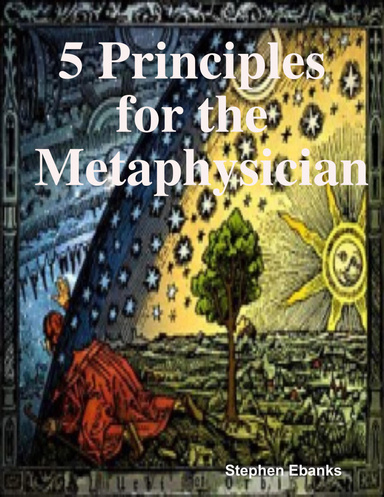 5 Principles for the Metaphysician