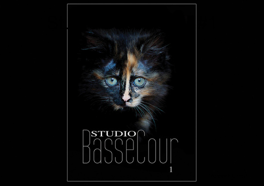 Studio BasseCour #1