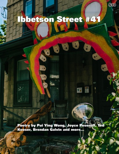 Calle Ibbetson #41