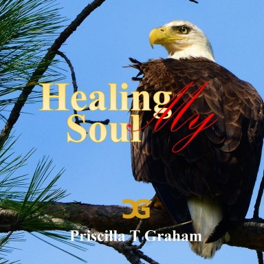 Healing My Soul