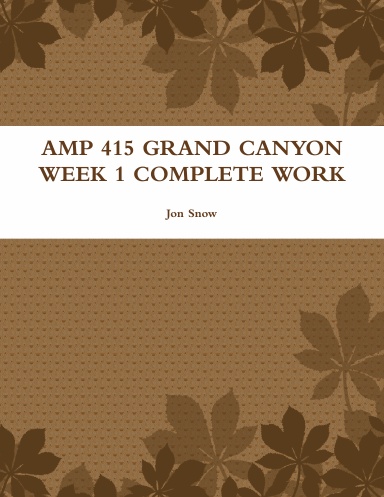AMP 415 GRAND CANYON WEEK 1 COMPLETE WORK
