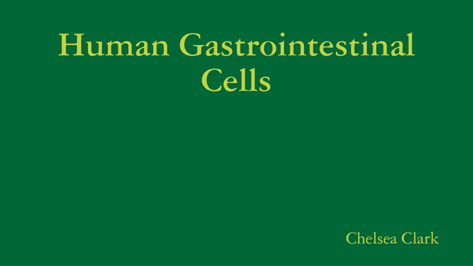 Human Gastrointestinal Cells