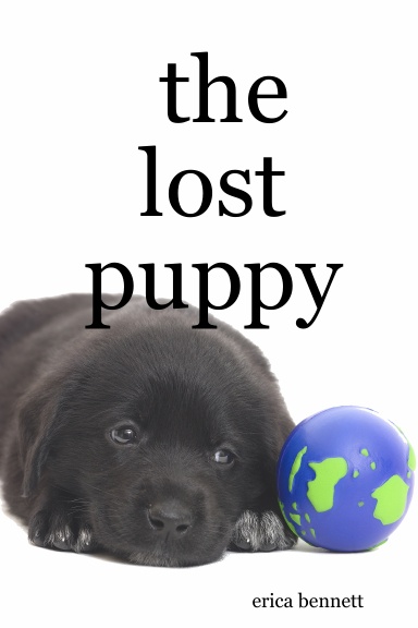 the lost puppy