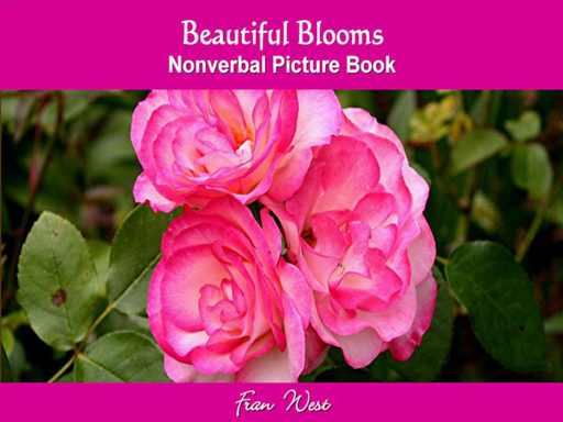 Beautiful Blooms Nonverbal Picture Book