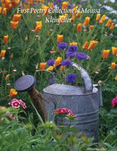 First Poetry Collection of Melissa Kleinfelter