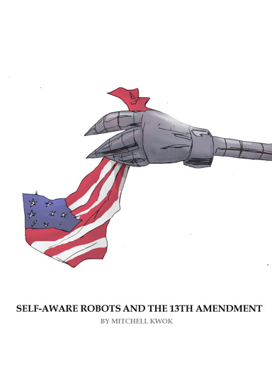 Self Aware Robots and the Thirteenth Amendment