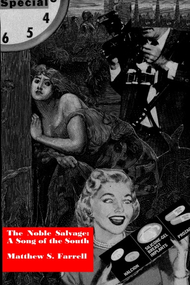 The Noble Salvage: A Song of the South