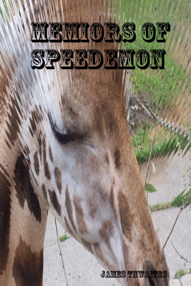 Memiors of Speedemon