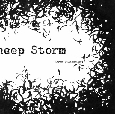 Black Sheep Storm