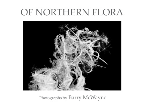 Of Northern Flora
