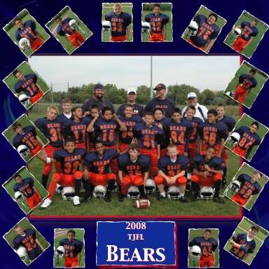 2008 Bears