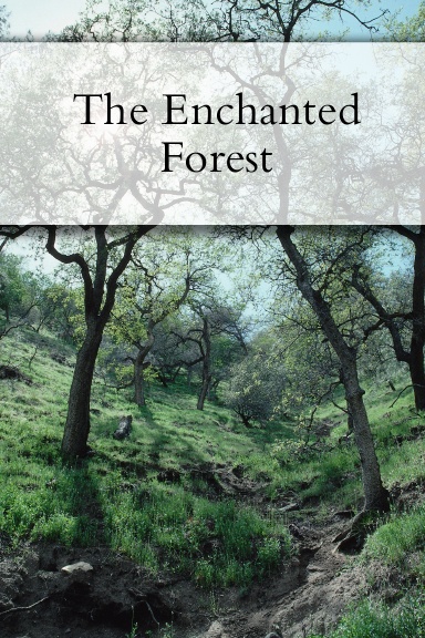 The Enchanted Forest