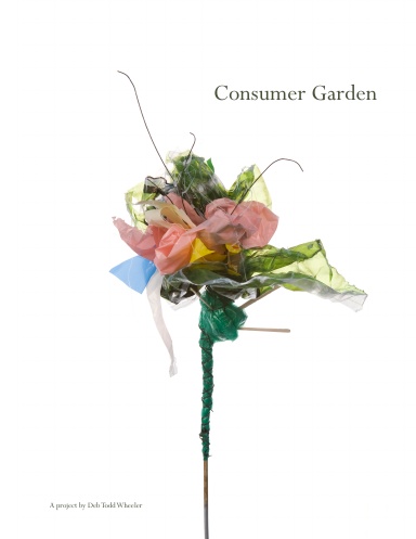 Consumer Garden