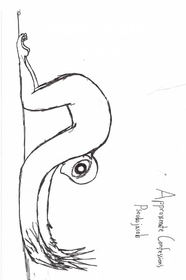 approximate confessions II