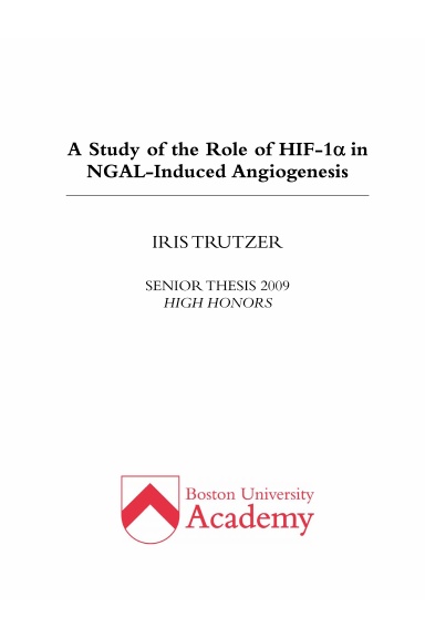 A Study of the Role of HIF-1α in NGAL-Induced Angiogenesis