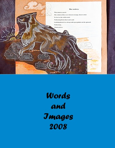 Words and Images 2008