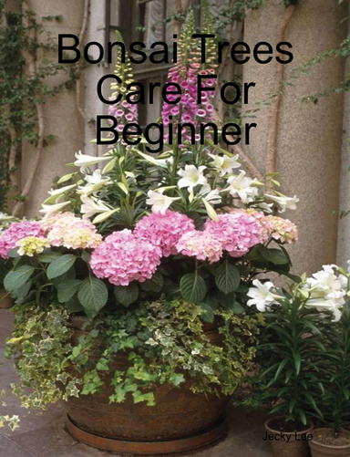 Bonsai Trees Care For Beginner