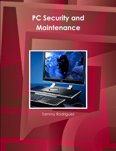 PC Security and Maintenance