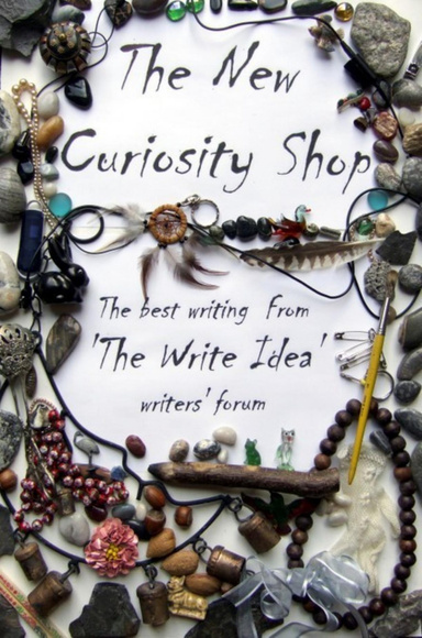 The New Curiosity Shop