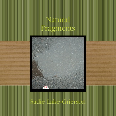 Natural Fragments
