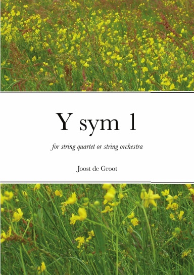 Y sym 1 for string quartet or string orchestra