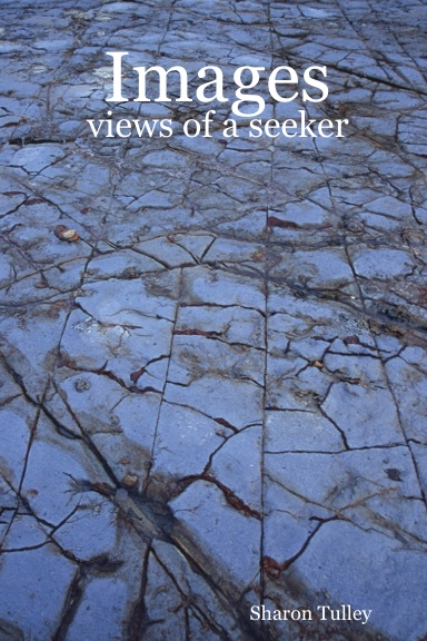 Images: views of a seeker