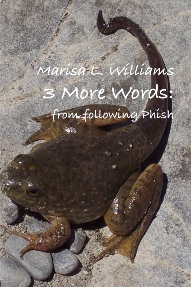 3 More Words: from following Phish