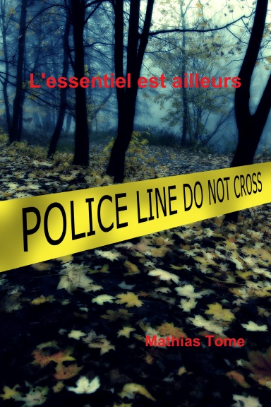 L'essentiel est ailleurs