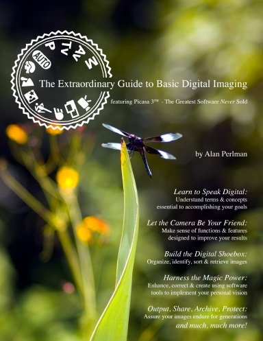 The Extraordinary Guide to Basic Digital Imaging