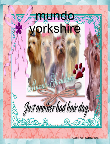 mundo yorkshire