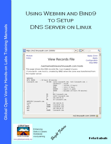 Using Webmin And Bind9 To Setup DNS Server On Linux