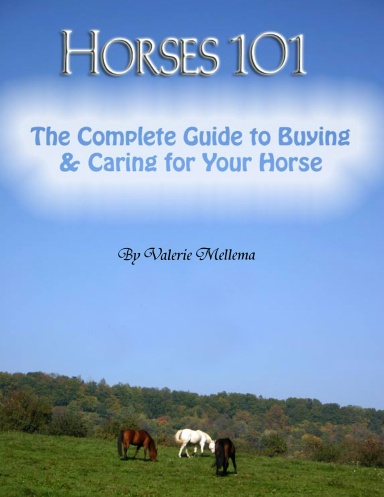 Horses 101: The Complete Guide to Buying & Caring for Your Horse