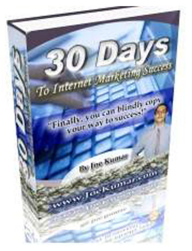 30 Days To Internet Marketing Success Vol I And Vol II