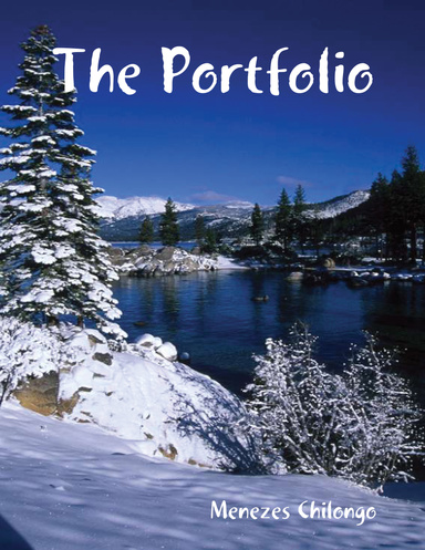 The Portfolio