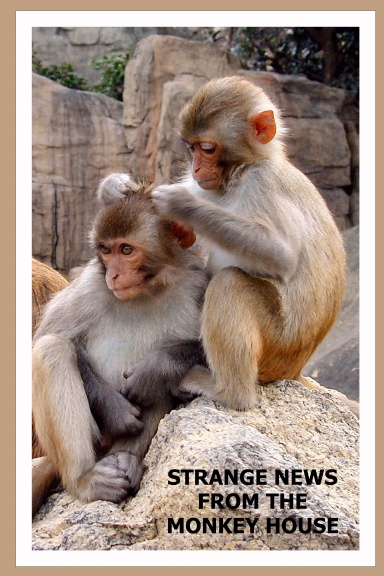 Strange News From The Monkey House