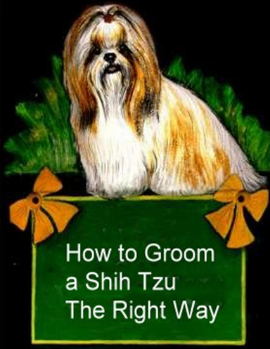 How to Groom A Shih Tzu The Right Way