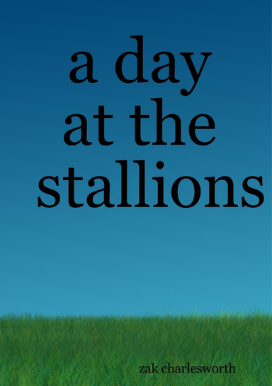 a day at the stallions