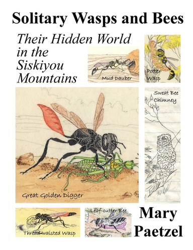 Solitary Wasps and Bees: Their Hidden World in the Siskiyou Mountains