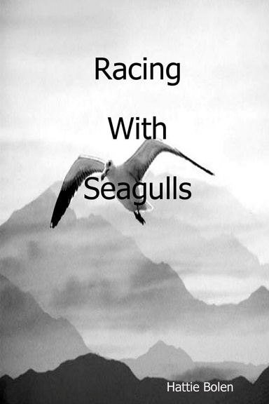 Racing With Seagulls