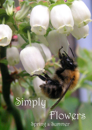 Simply Flowers, Spring & Summer